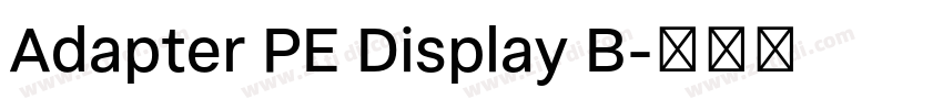 Adapter PE Display B字体转换